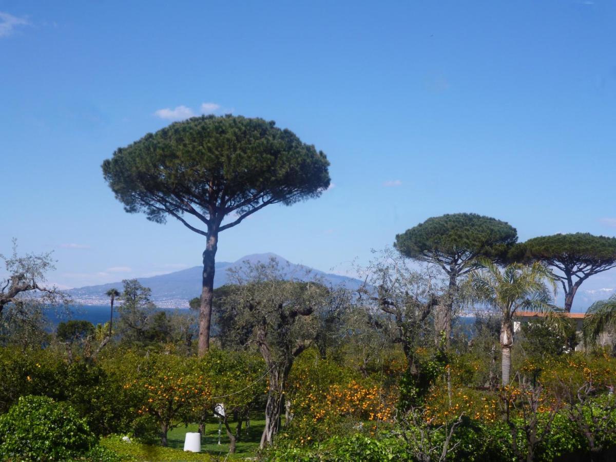 Angelina Suite B&B Sorrento Buitenkant foto